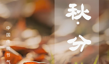 NG南宫电子游戏- 相信品牌的力量